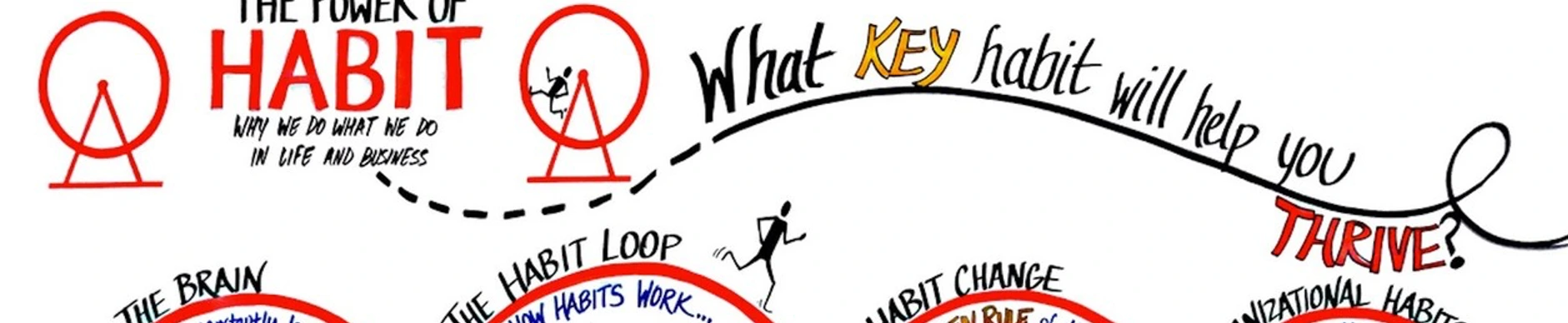 The Power of Habit